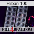 Fliban 100 31